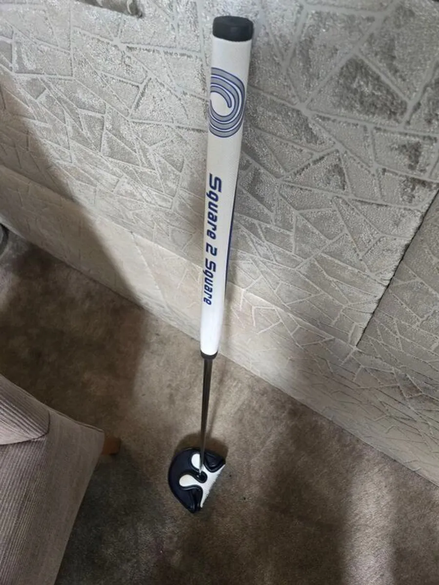 putters - Image 4