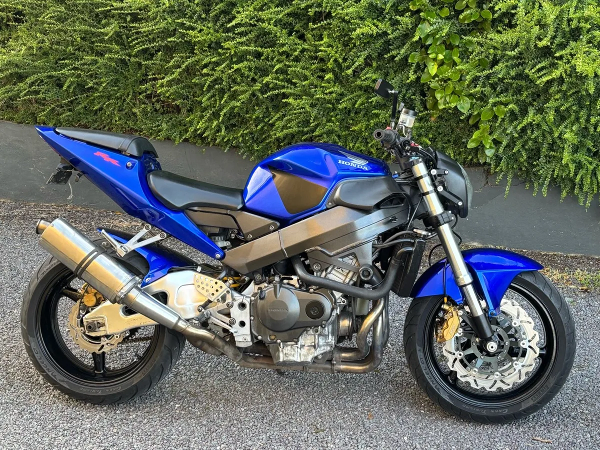 CBR 954 RR - Image 4