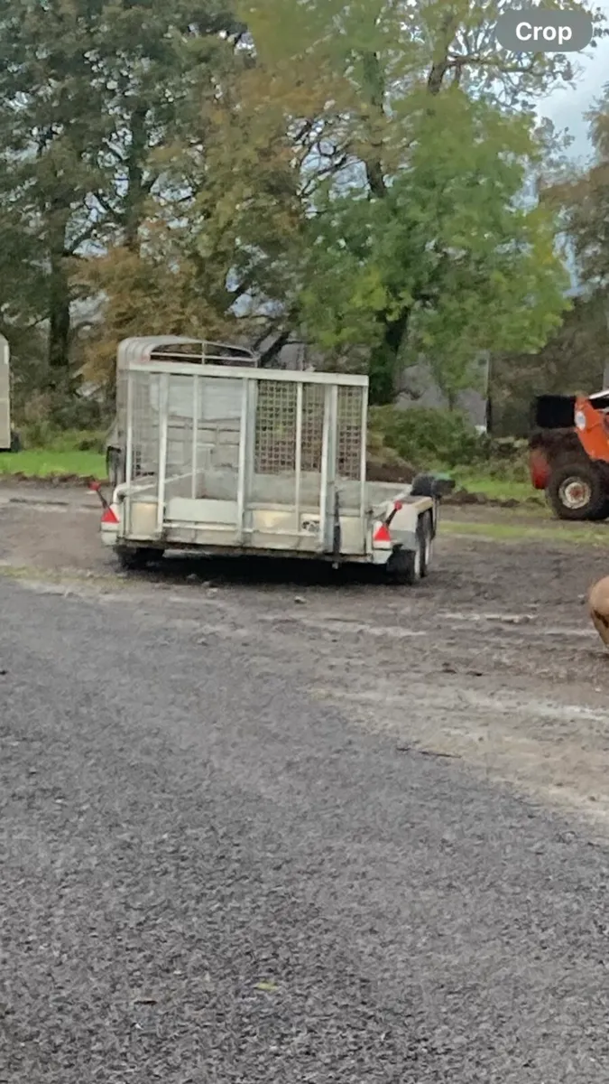 Nugent 12x6 trailer for sale - Image 3
