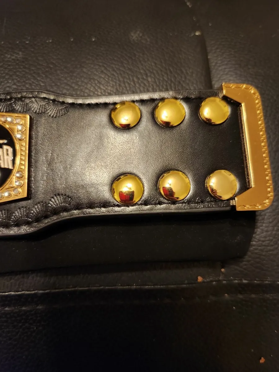 WWE Mini Replica - Image 2