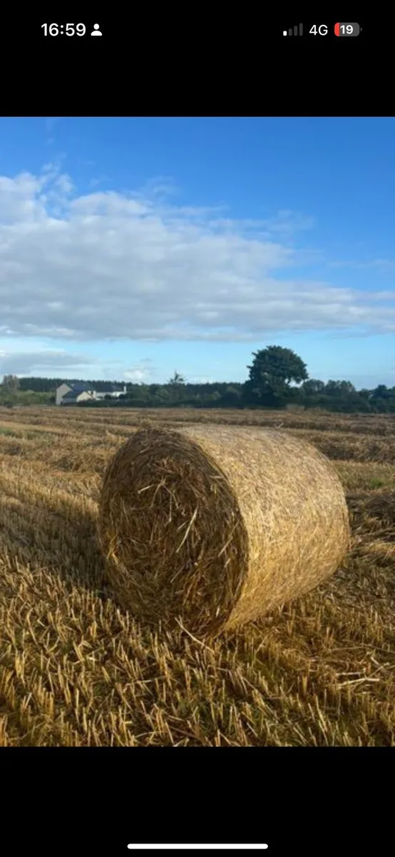 Straw - Image 1