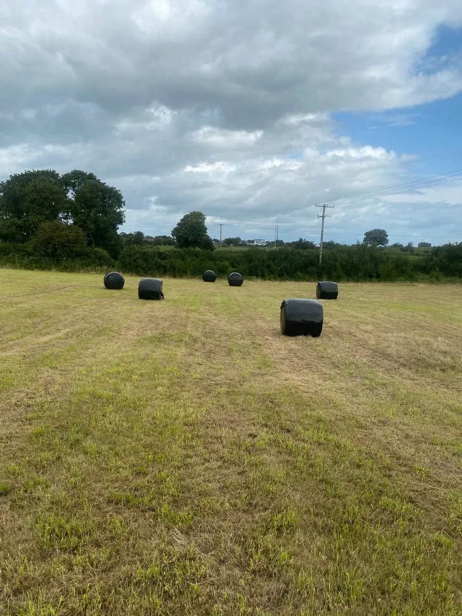 Silage Bales - Image 2