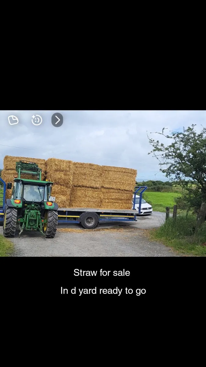 Barley straw - Image 1