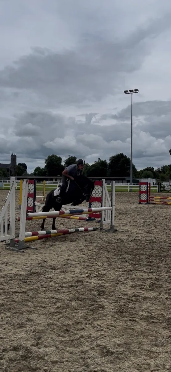 ☘️Allrounder pony☘️ - Image 3