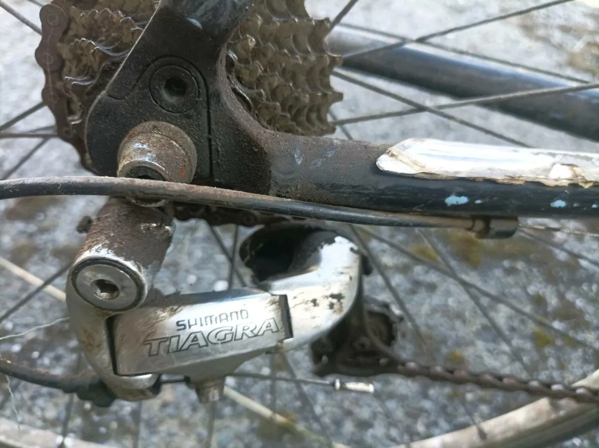Bicycle - Image 4