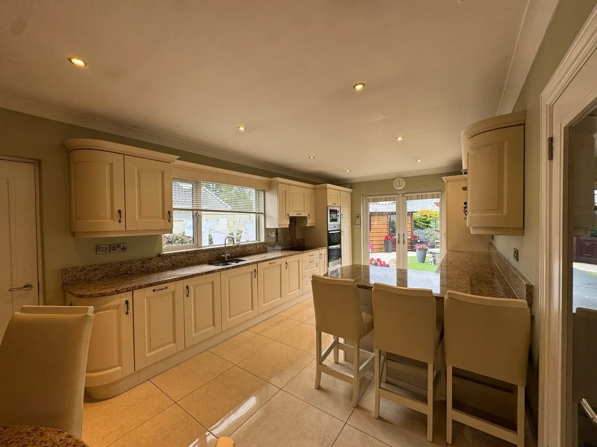 Solid Wood Kitchen Granite Tops & Appliances - Image 4