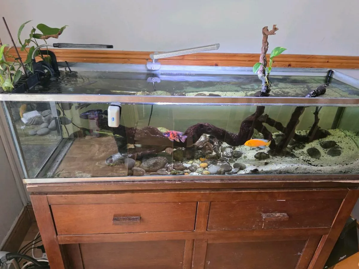 Aquarium 120 cm x 30 x 30 approx - Image 1