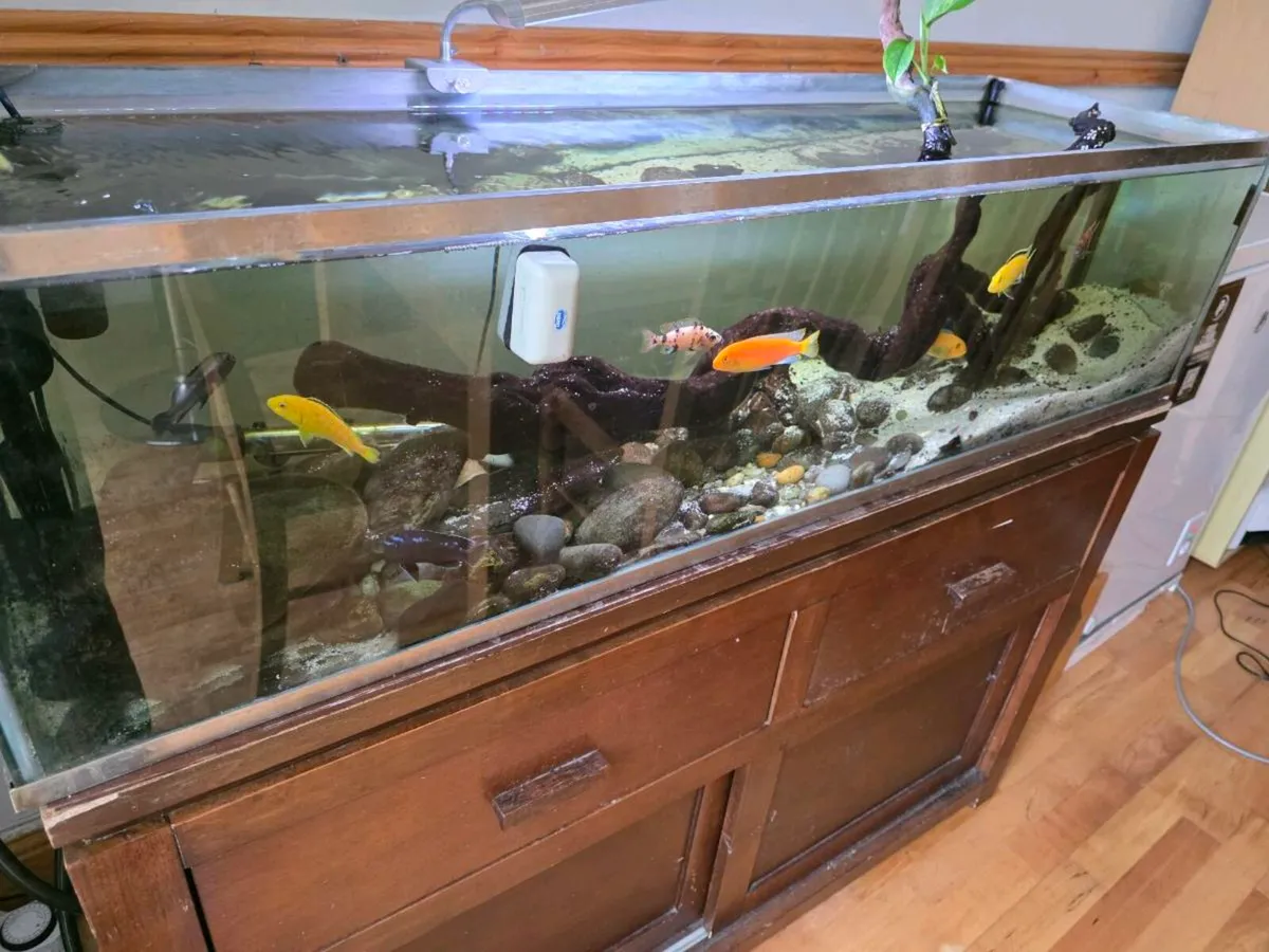 Aquarium 120 cm x 30 x 30 approx - Image 2