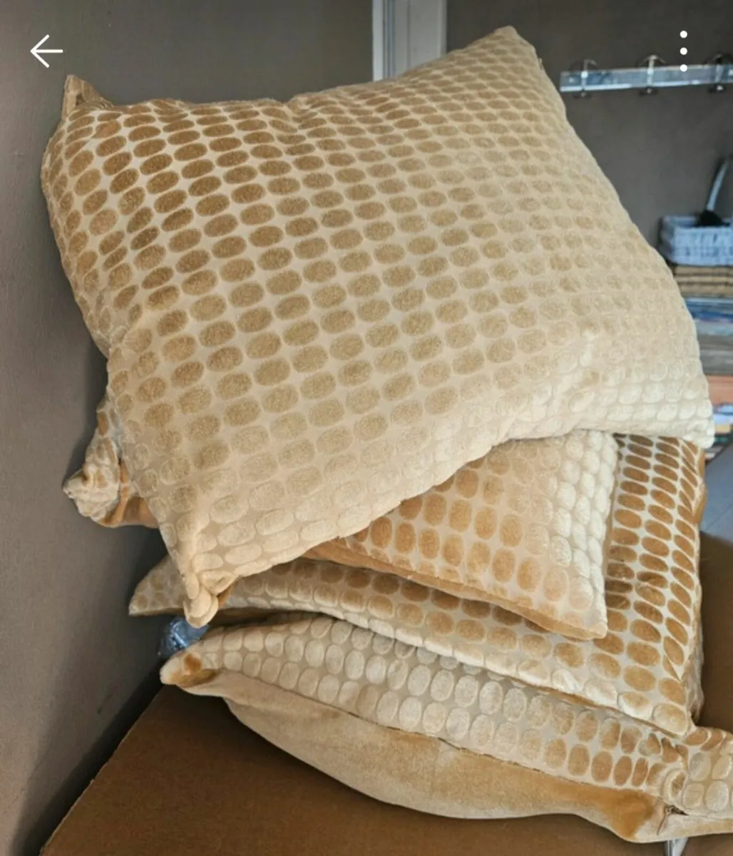 Large Bundle of Cushions plus 2 Large Lampshades - Image 1