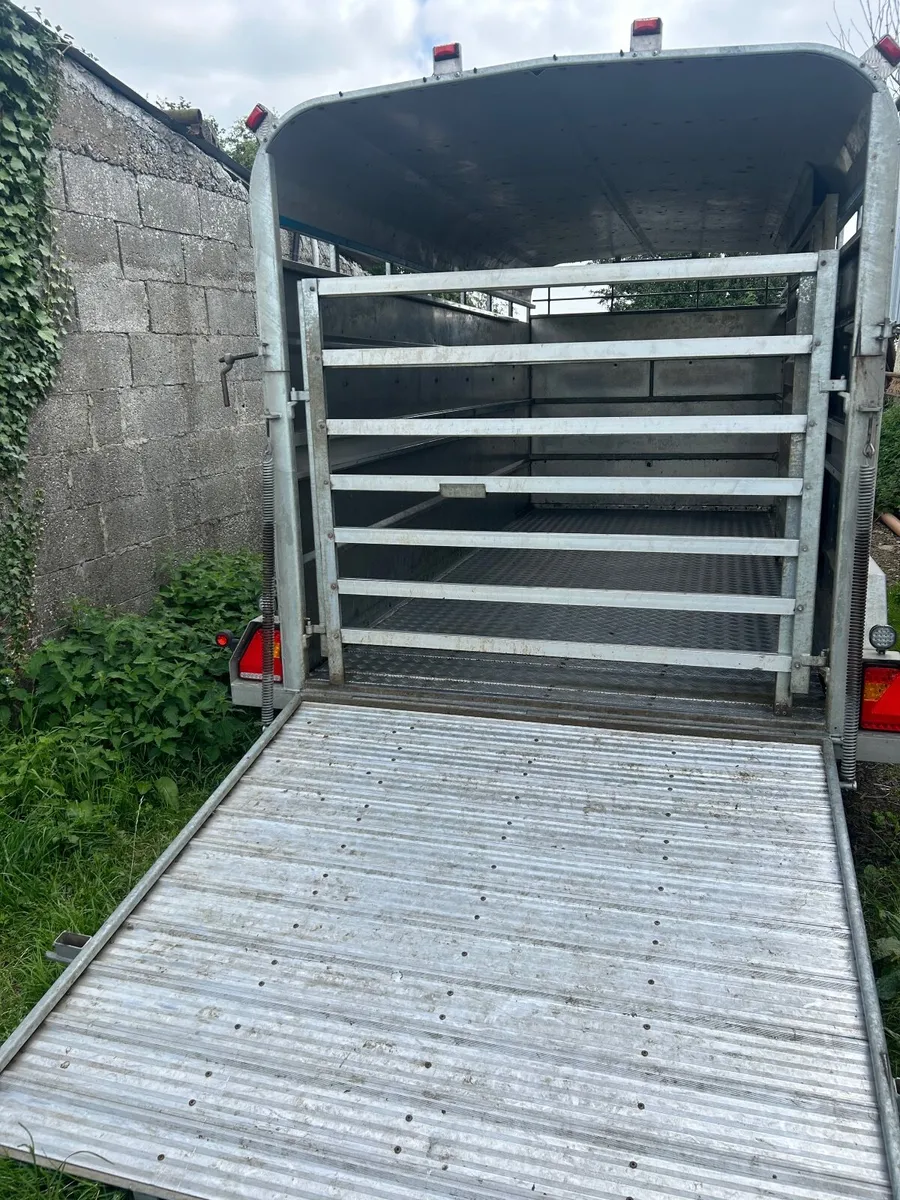 Livestock trailer - Image 3