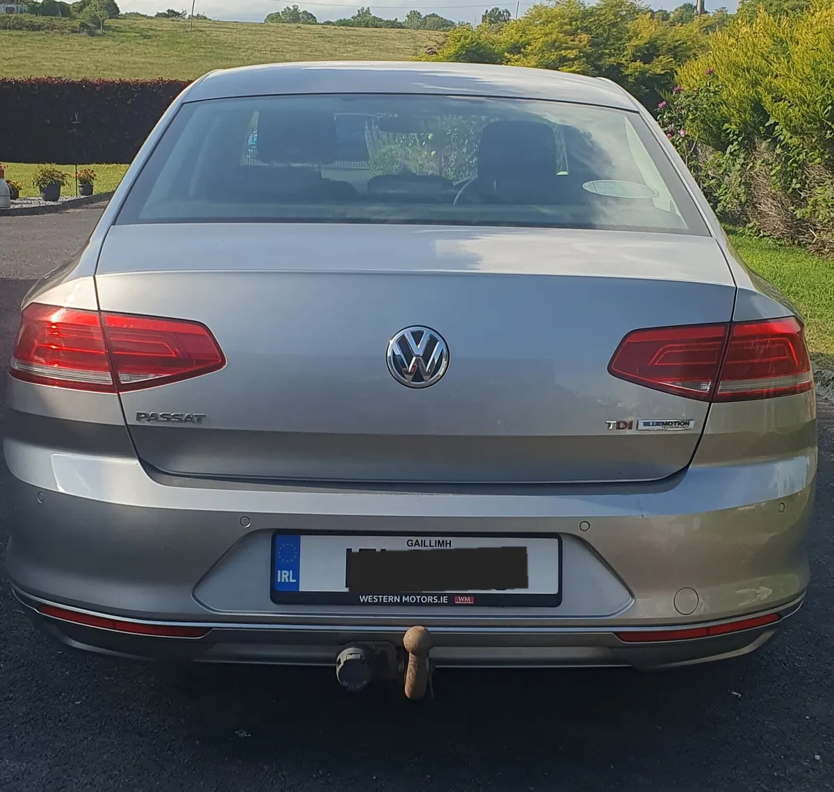 Voice Passat - Image 4