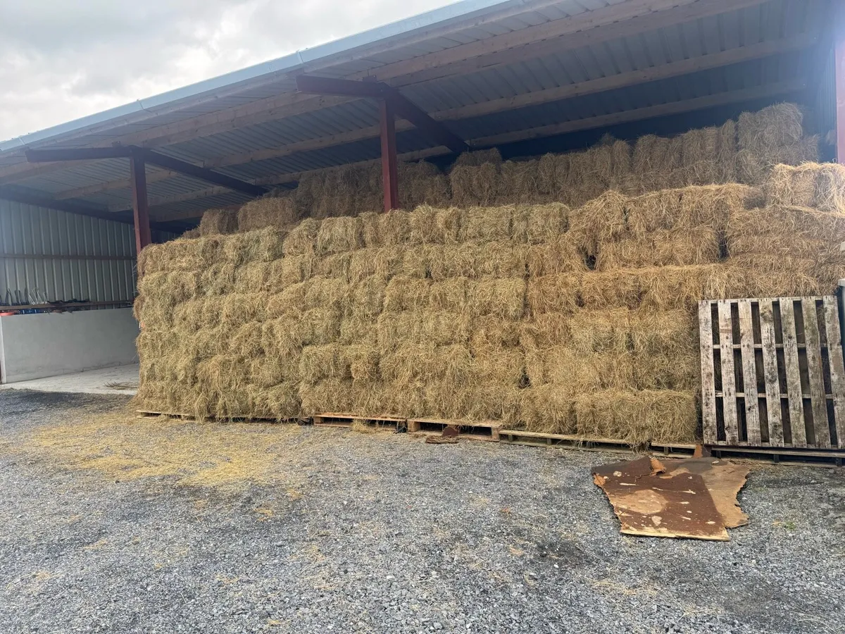 Square Bales 4.50 Each - Image 1