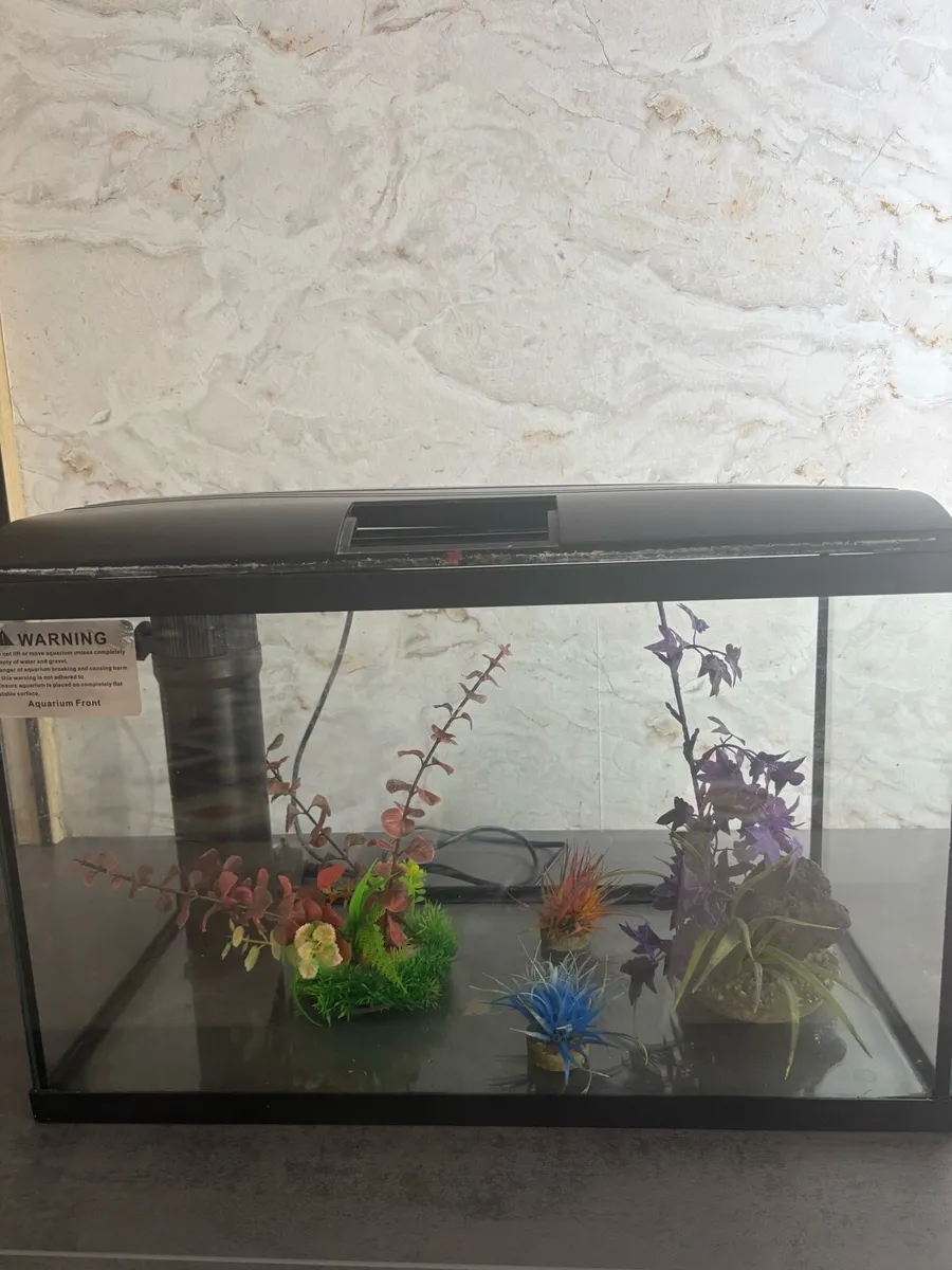 Fish tank - Image 2