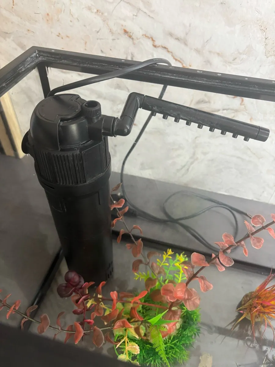 Fish tank - Image 3