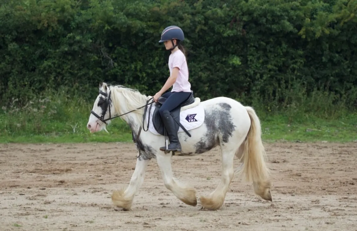 Kids pony - Image 1