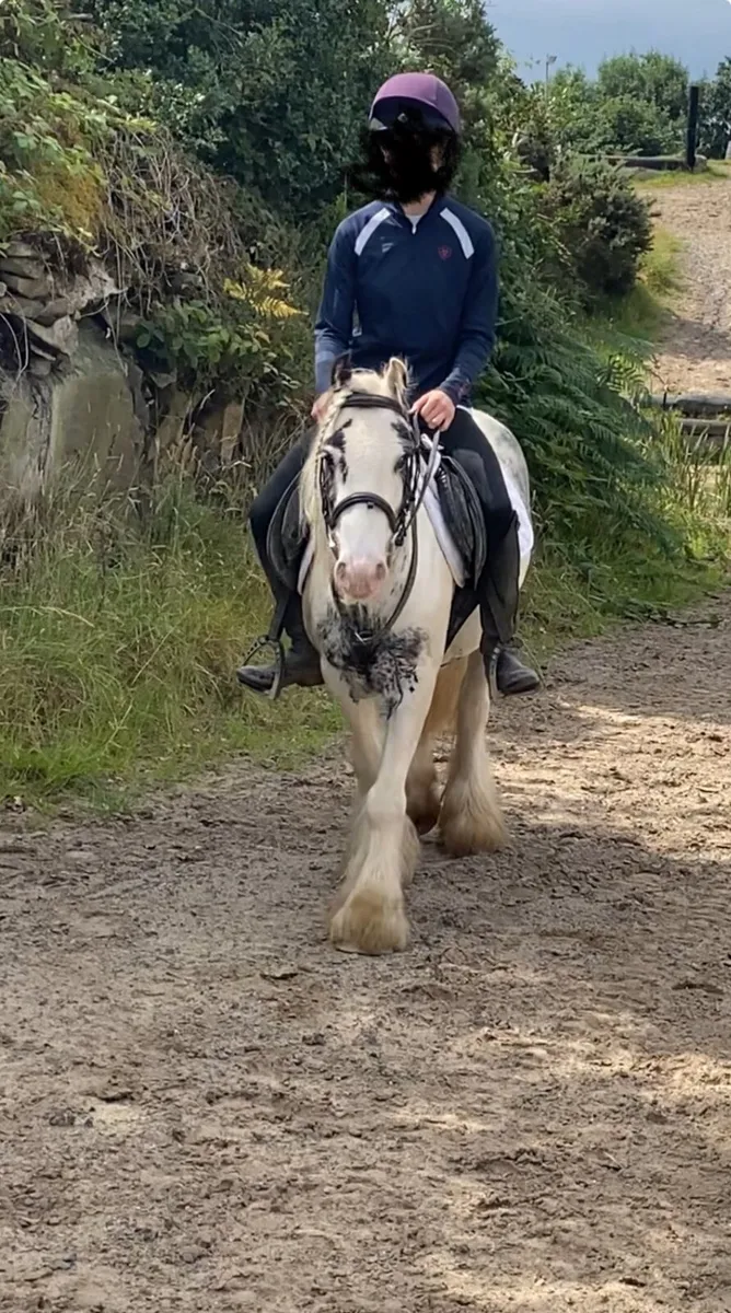 Kids pony - Image 3