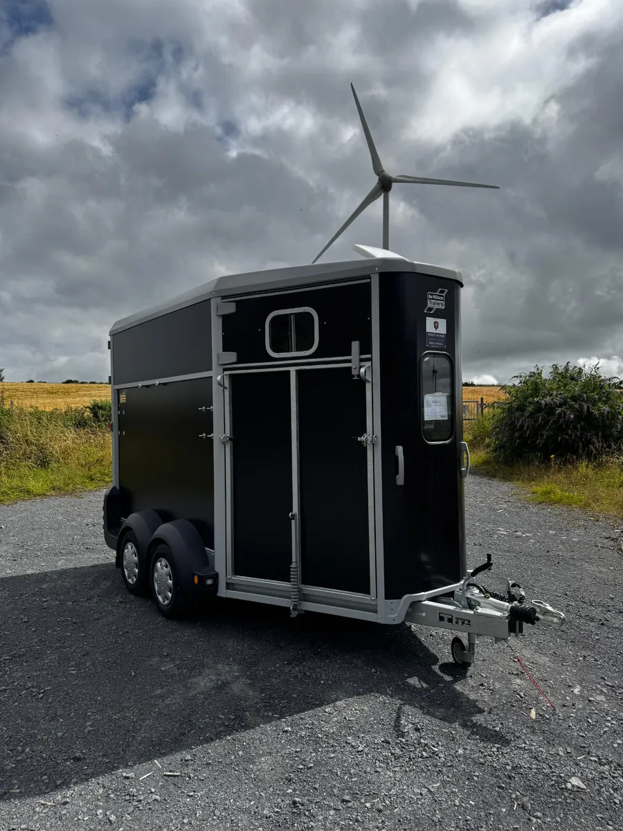 Brand new ifor williams horeboxs - Image 2