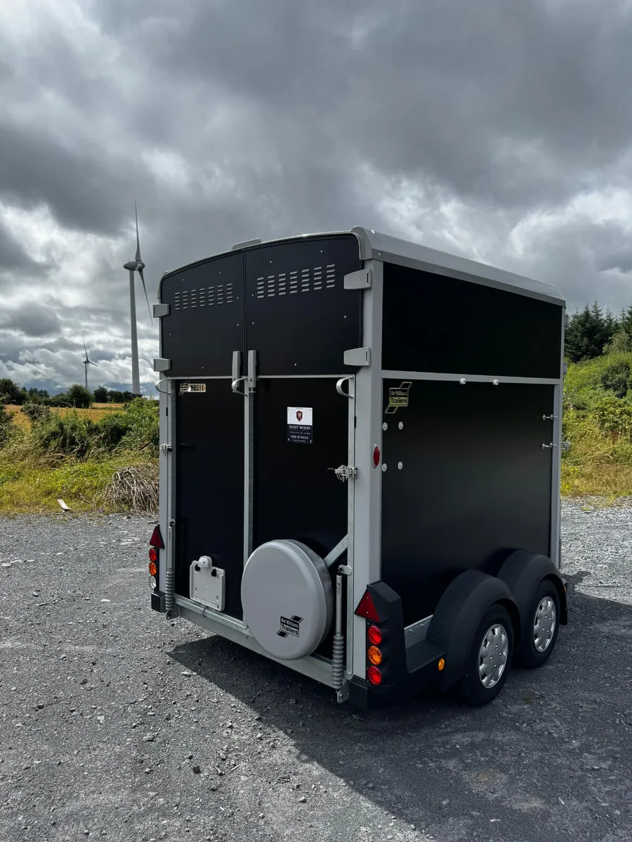 Brand new ifor williams horeboxs - Image 3