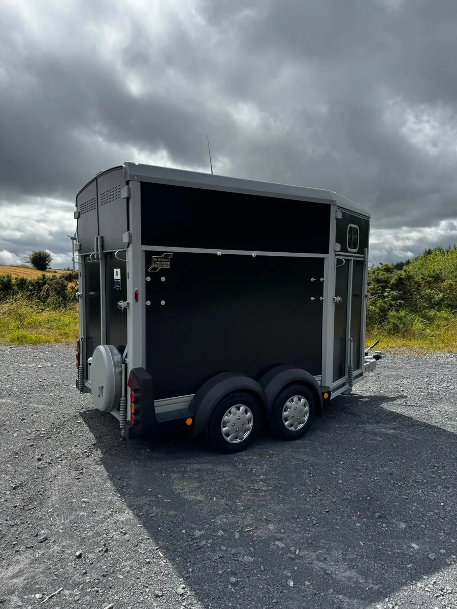Brand new ifor williams horeboxs - Image 4