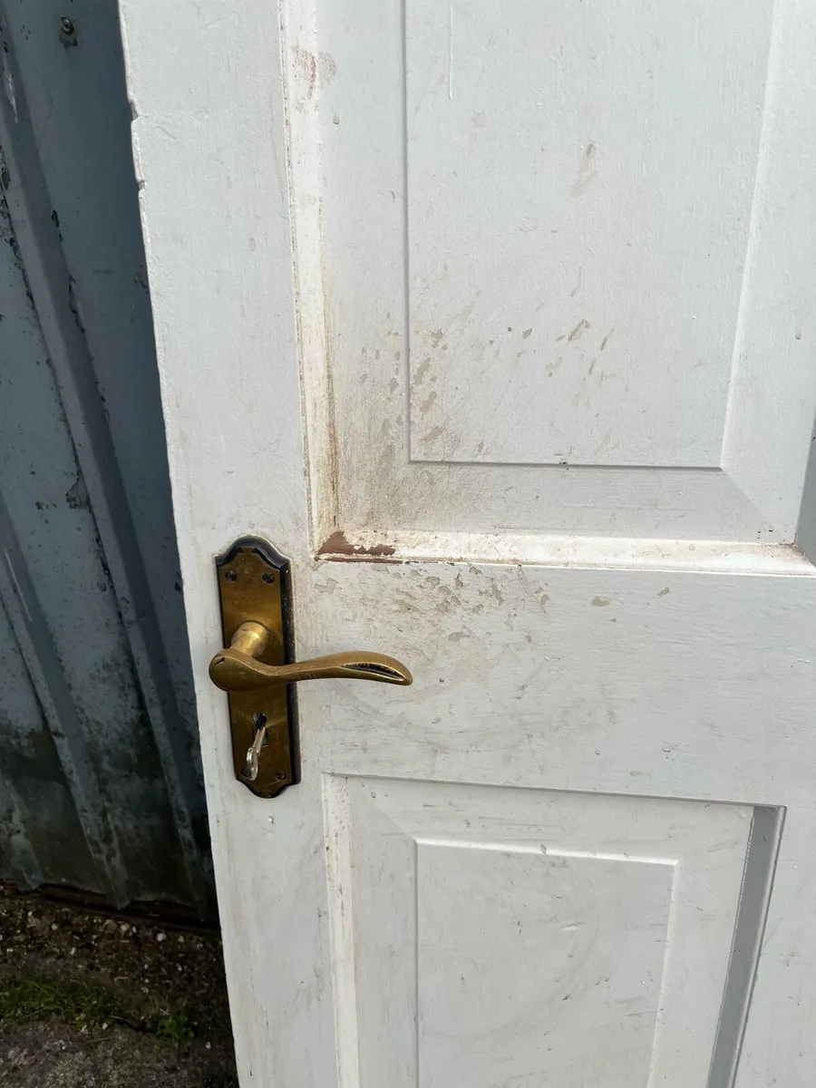 Doors - Image 3