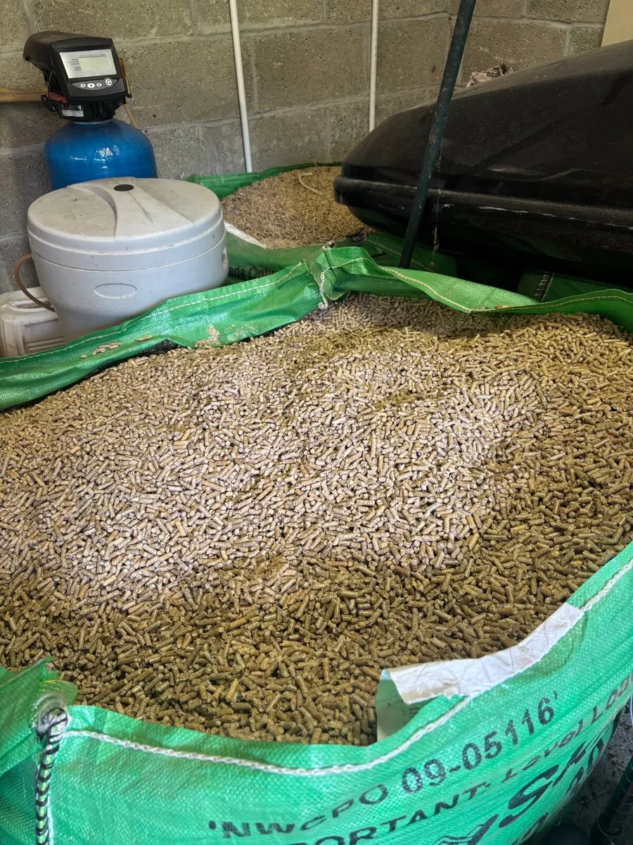 Wood Pellets - Image 1