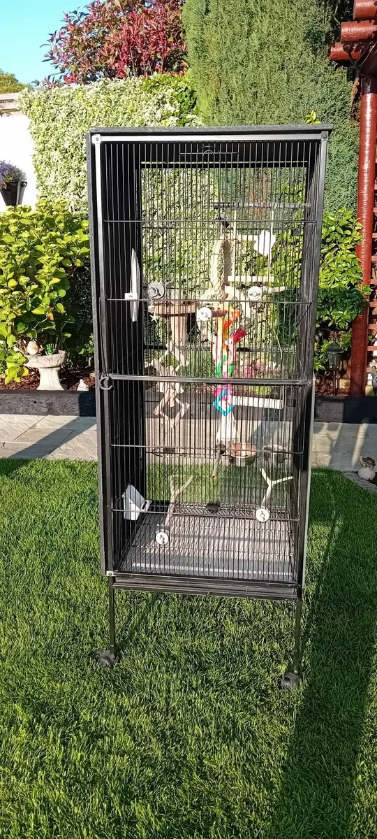 Bird Aviary Cage - Image 1