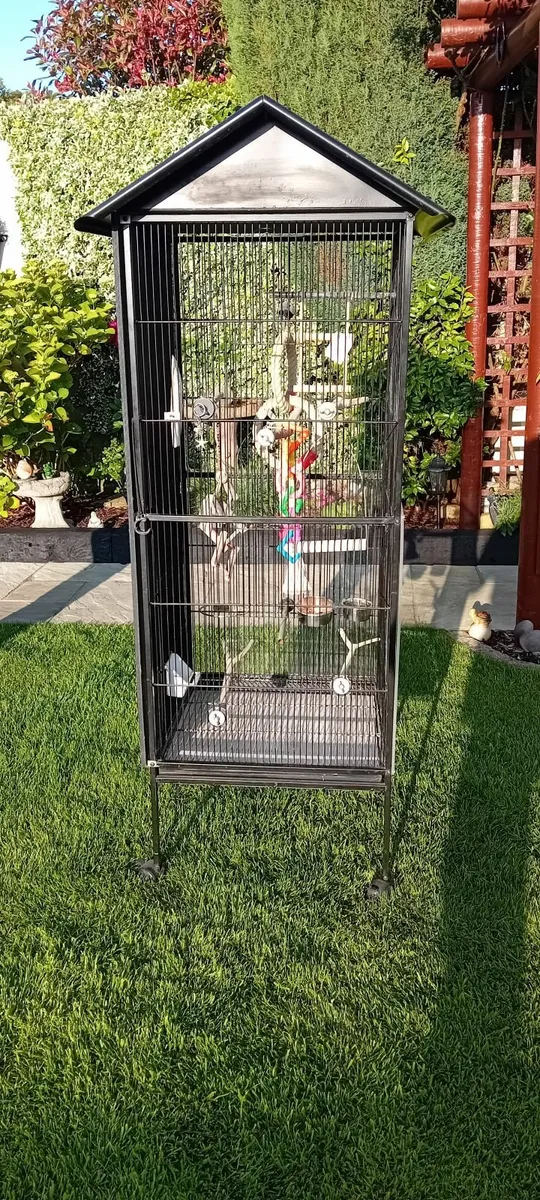 Bird Aviary Cage - Image 2