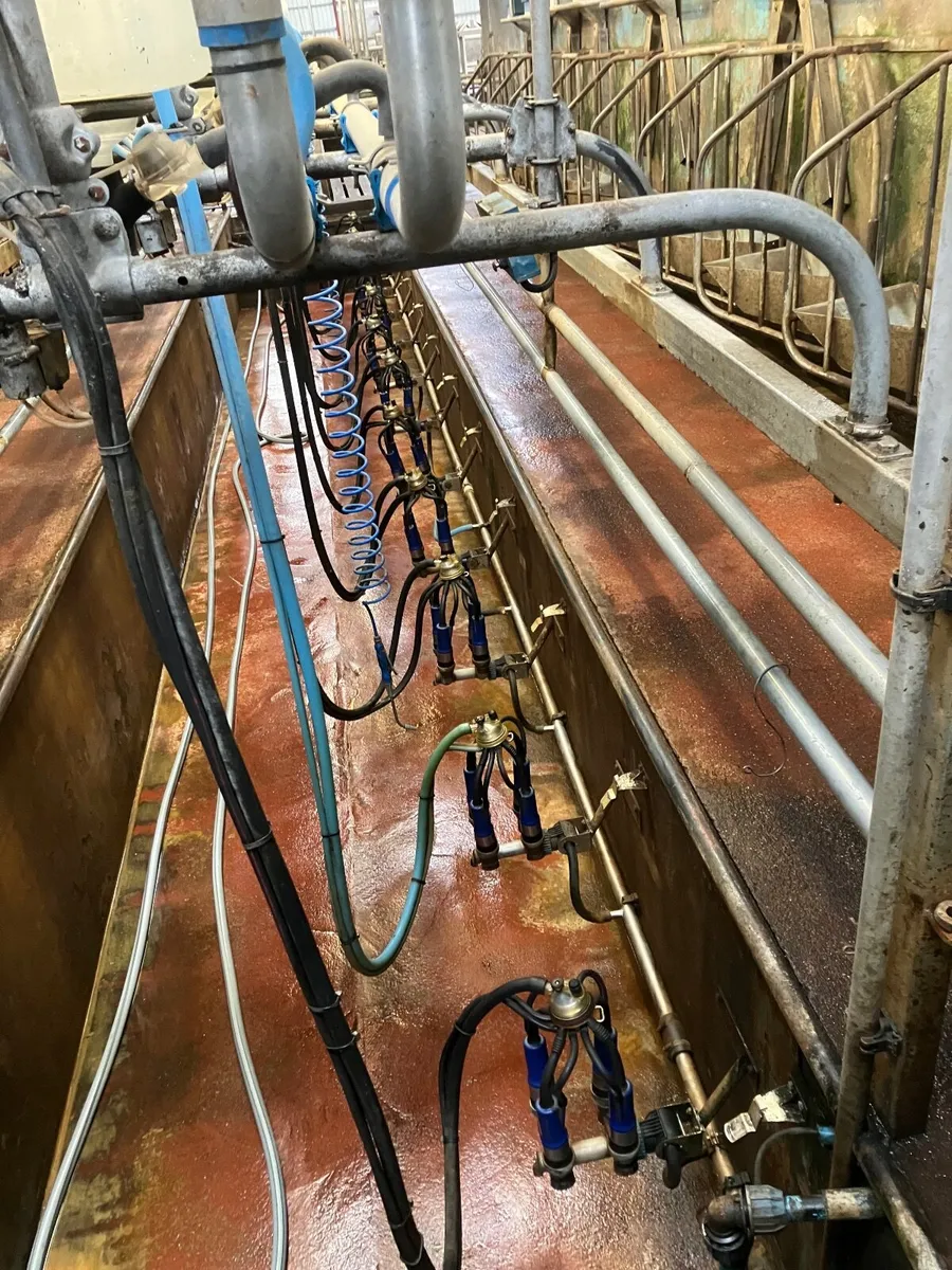 Fullwood 12 point jar milking plant - Image 2