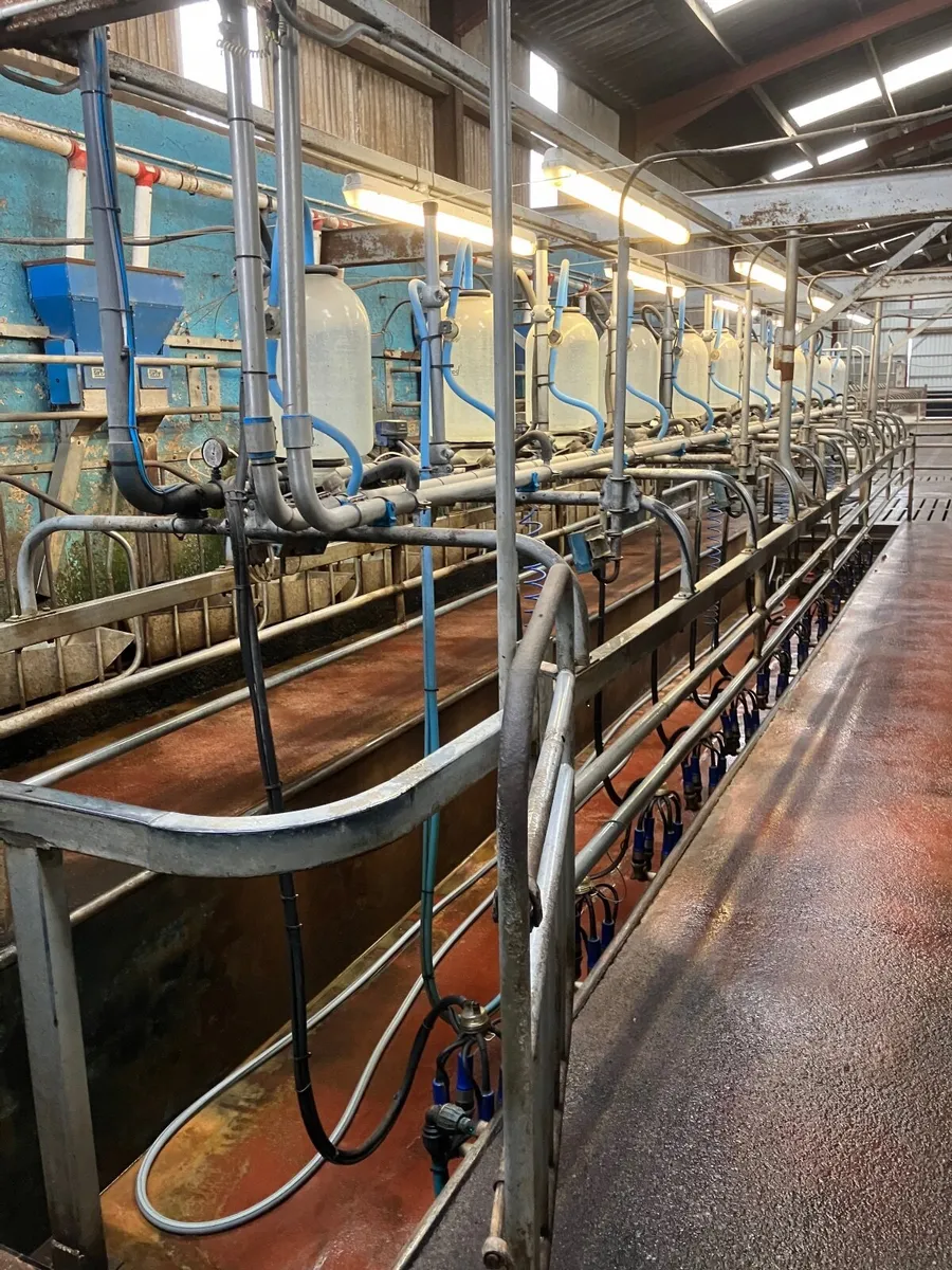 Fullwood 12 point jar milking plant - Image 4