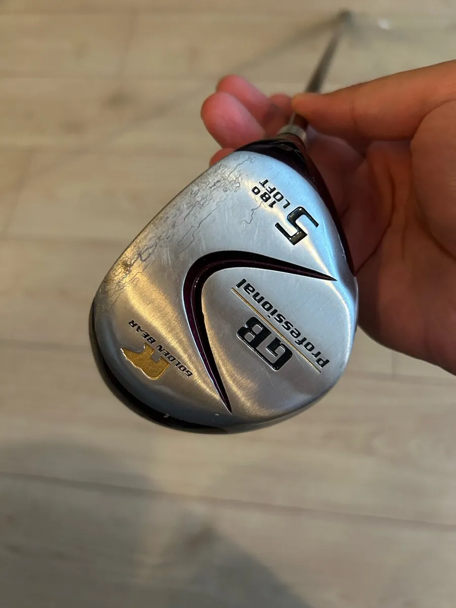 Golden bear Professional Driver - Image 1