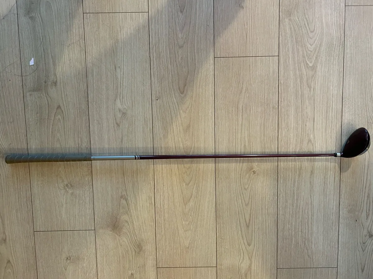 Golden bear Professional Driver - Image 2