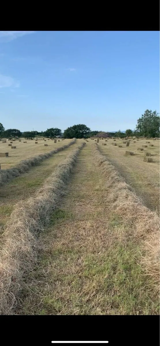 Round/square bales of hay - Image 1