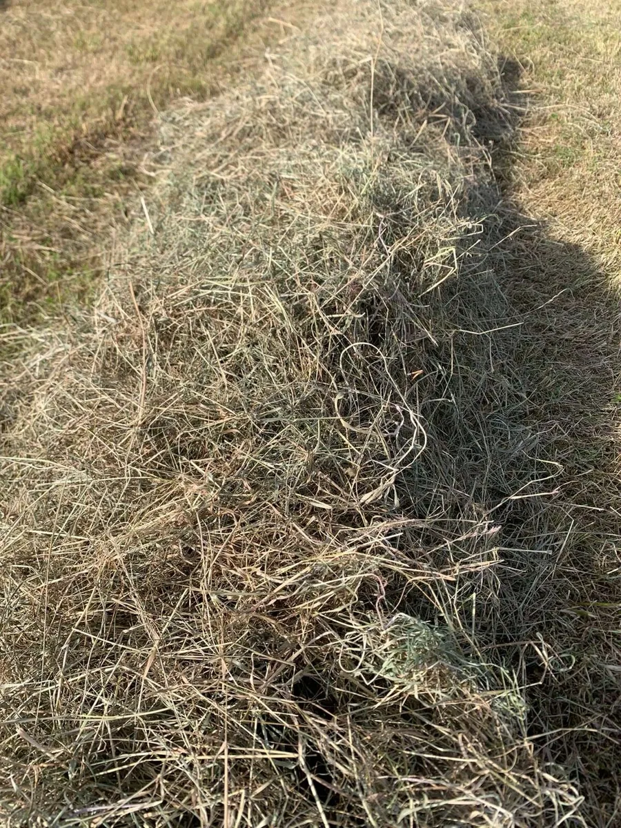 Round/square bales of hay - Image 2