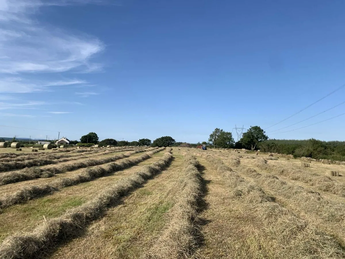 Round/square bales of hay - Image 4