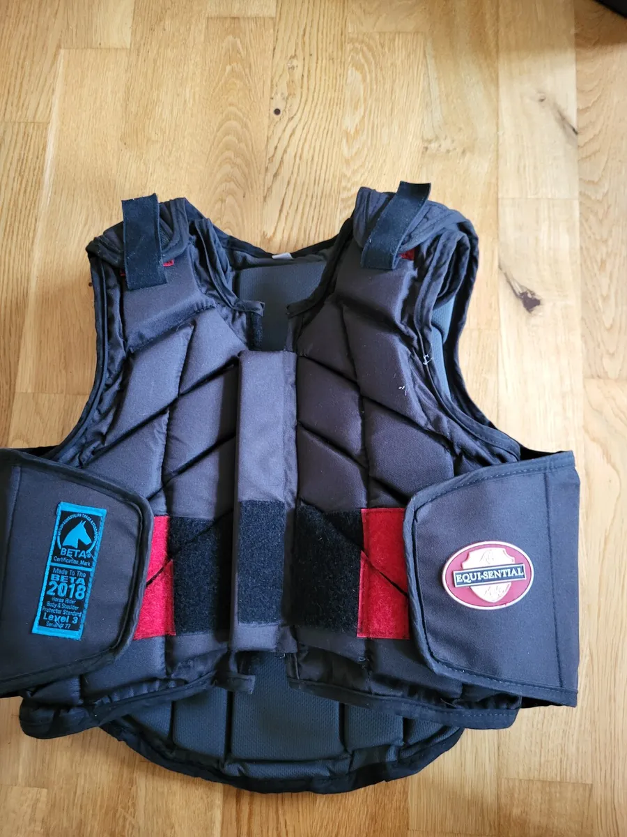 Horseriding back protector