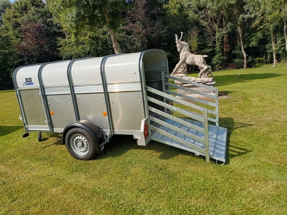 Brand new Ivor williams lifestock trailer - Image 4