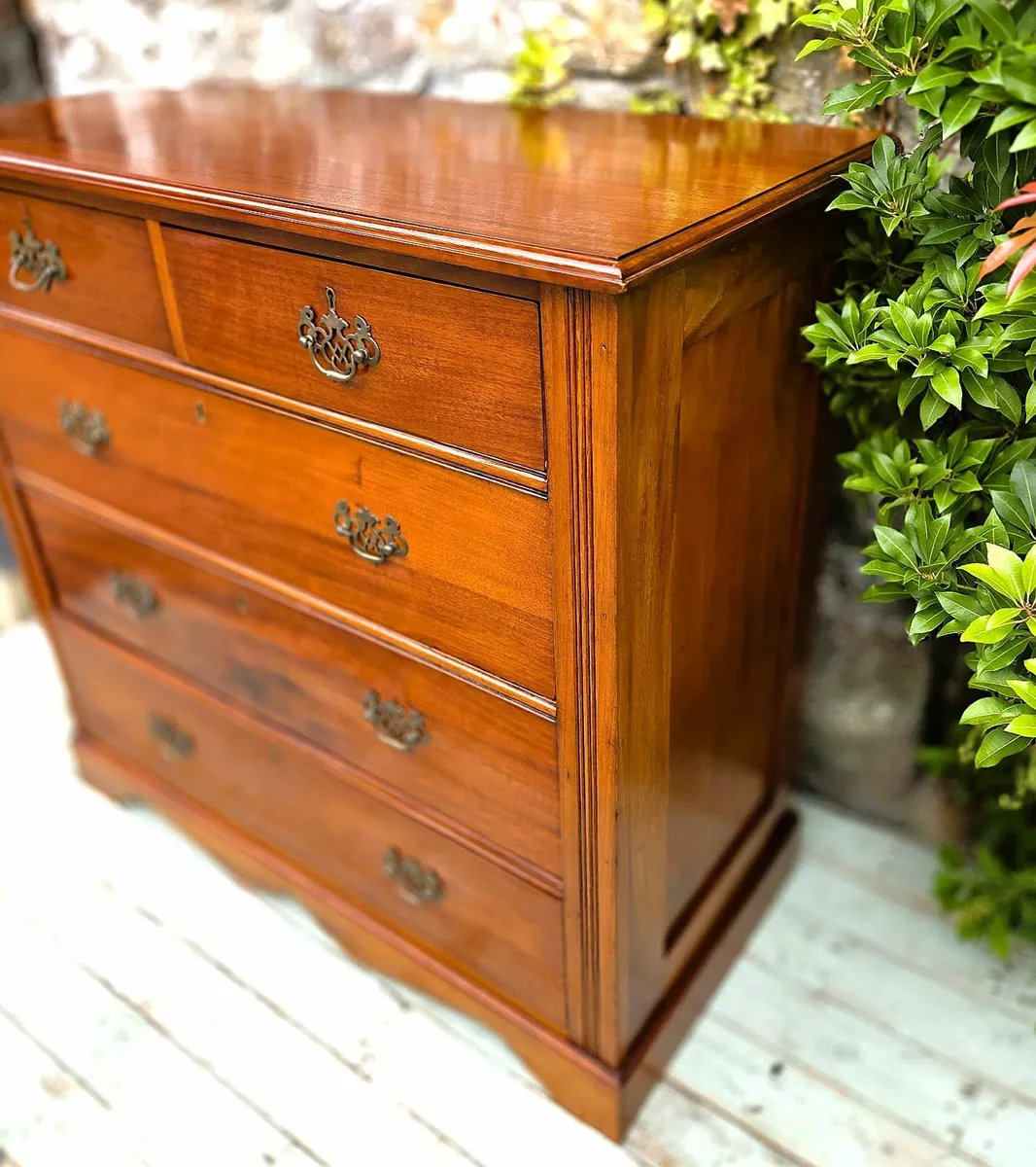 Edwardian Mahogany Chest- Circa 1900 - Image 3