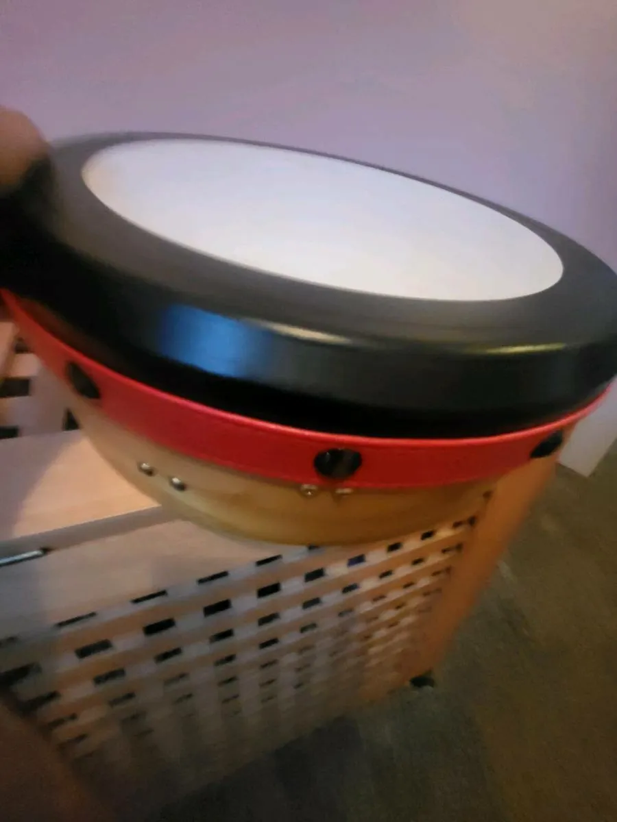 Bodhran with case - Image 2