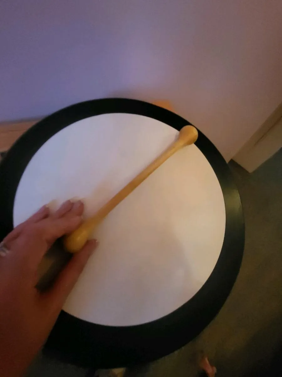 Bodhran with case - Image 4