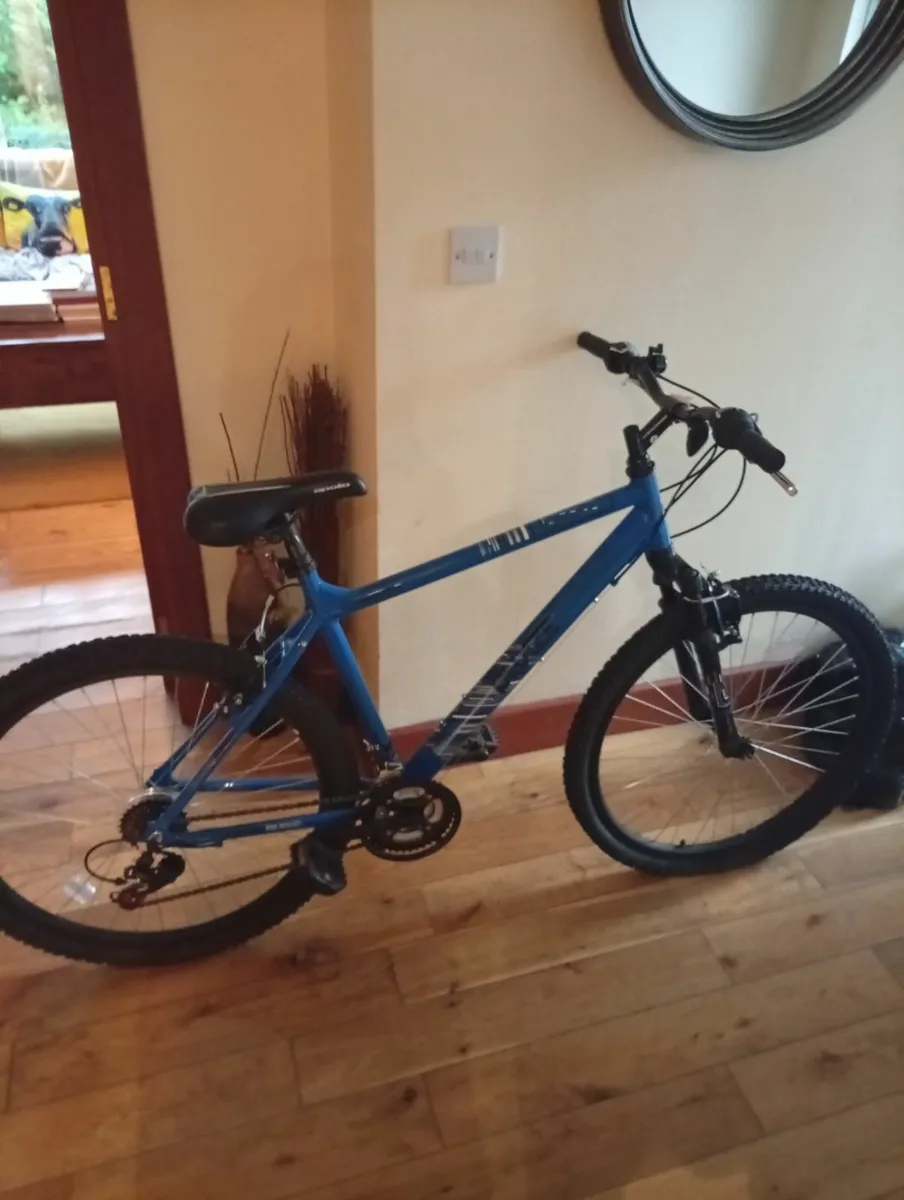 Apollo Phase Mountain Bike For Sale - Image 1