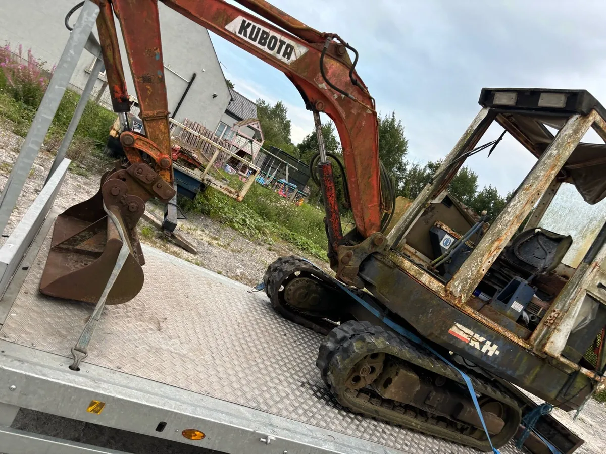 Mini diggers wanted - Image 4