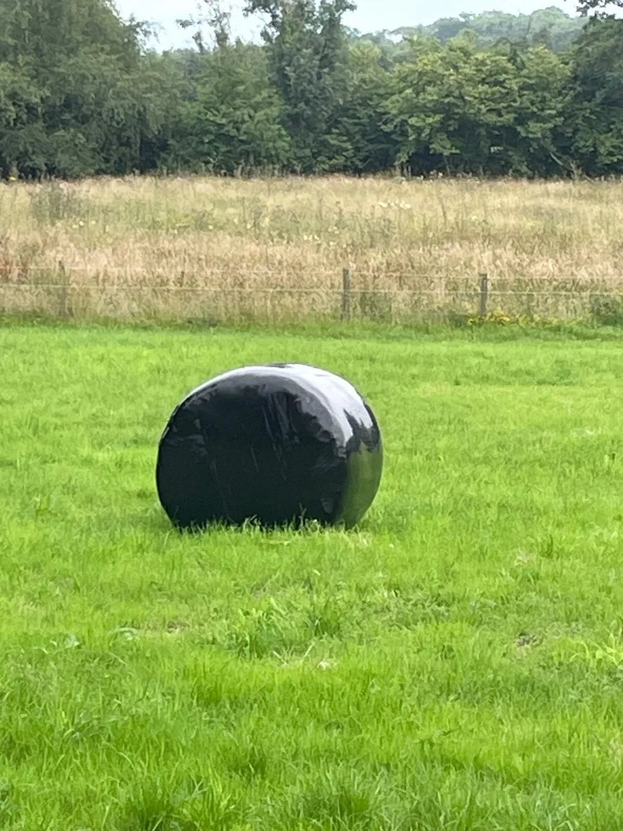 Baled silage