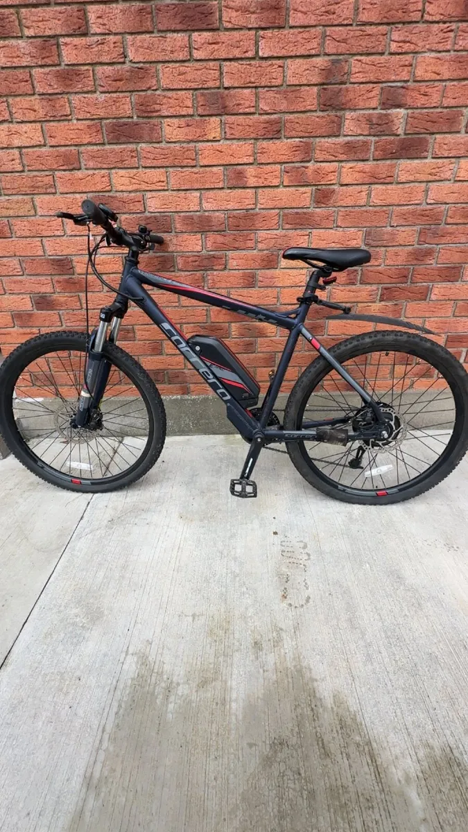 Electric bike - Image 1
