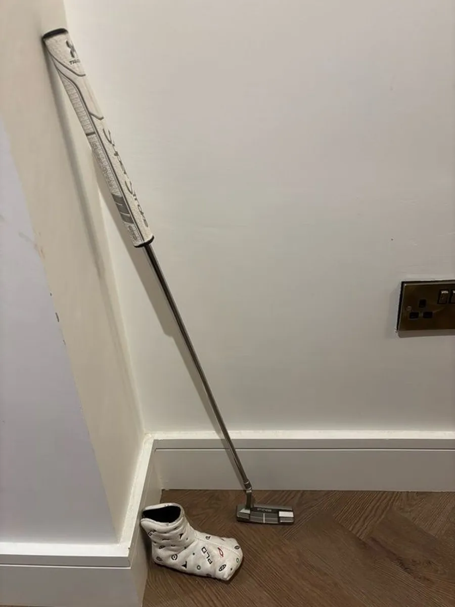 Ping Anser2 - Image 1