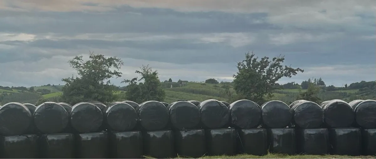 ORGANIC Bales of silage for sale.