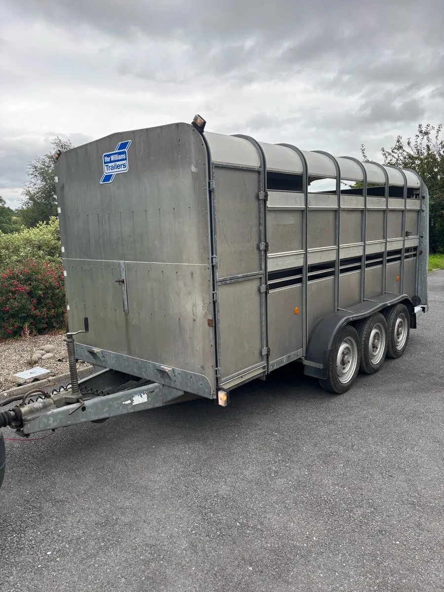14x6 ifor Williams cattle box - Image 1
