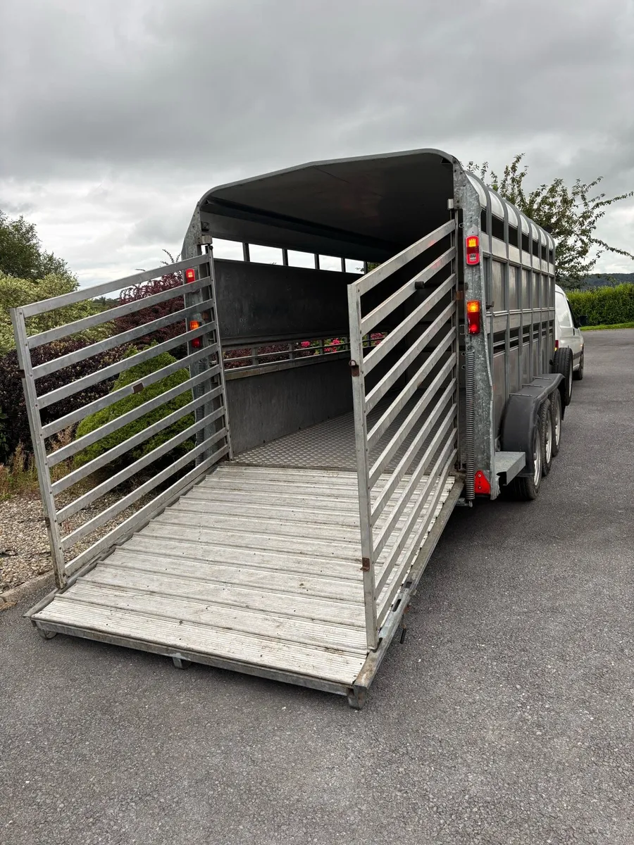 14x6 ifor Williams cattle box - Image 2