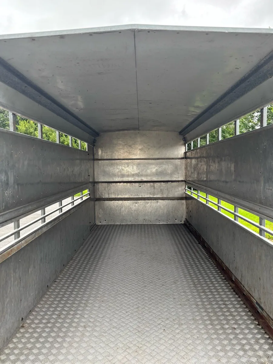 14x6 ifor Williams cattle box - Image 3