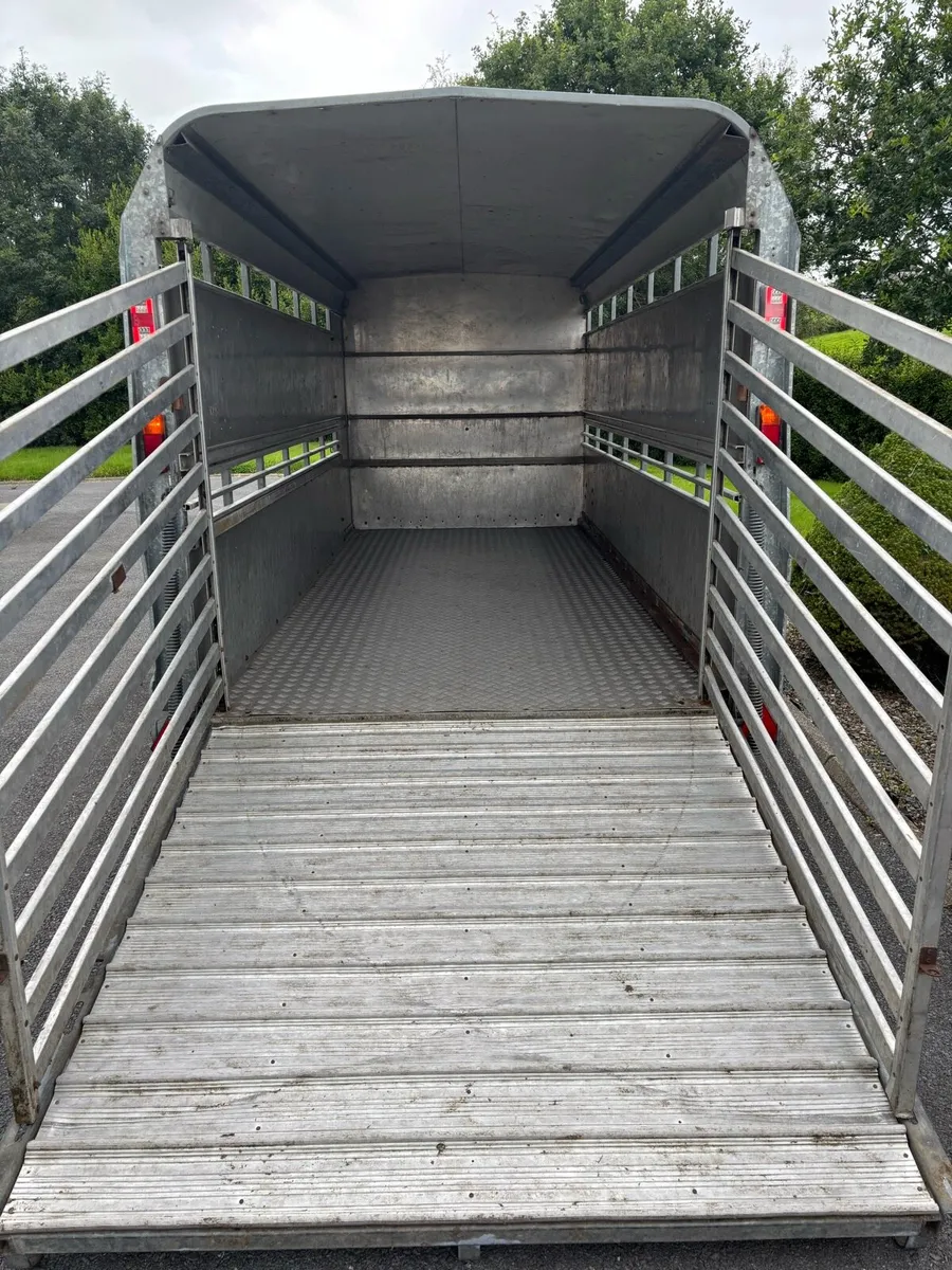 14x6 ifor Williams cattle box - Image 4