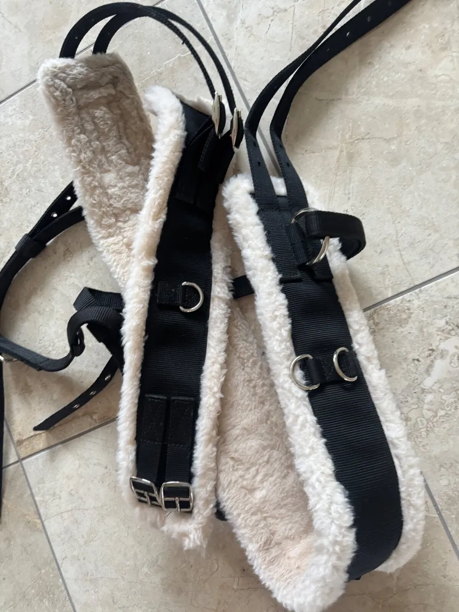 Full size shires roller & side reins - Image 1